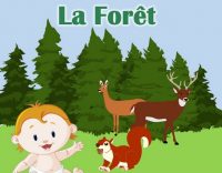 Les histoires du samedi